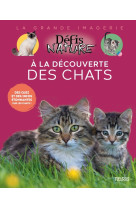 à la découverte des chats