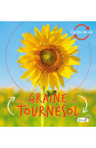 De la graine au tournesol