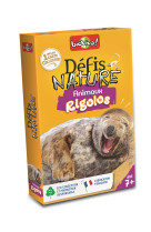 Defis nature - animaux rigolos