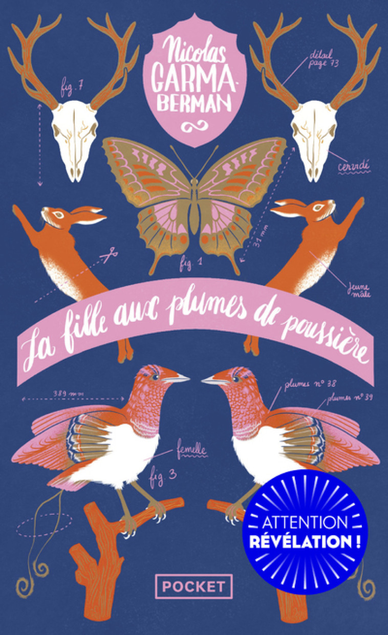 La fille aux plumes de poussière - Nicolas Garma-Berman - POCKET
