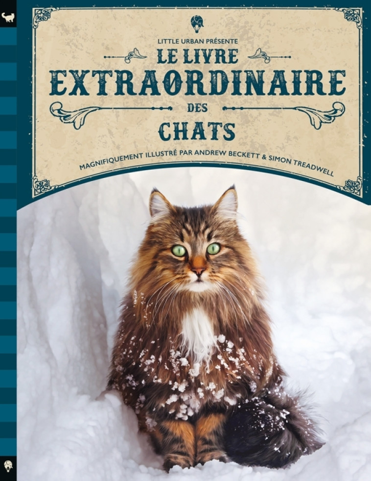 Le Livre extraordinaire des chats - Taylor Barbara Taylor Barbara, Beckett Andrew Beckett Andrew, Treadwell Simon Treadwell Simon,  Taylor Barbara,  Beckett Andrew,  Treadwell Simon,  Taylor Barbara,  Beckett Andrew,  Treadwell Simon - LITTLE URBAN