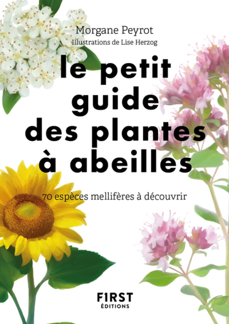 Le Petit Guide des plantes à abeilles - 70 espèces mellifères à découvrir - Lise Herzog, Morgane Peyrot - FIRST