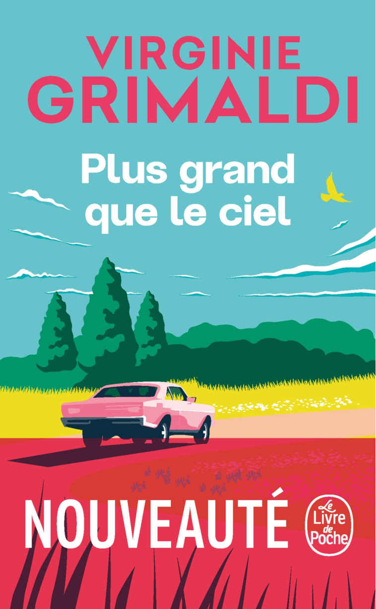 Plus grand que le ciel - Virginie Grimaldi - LGF